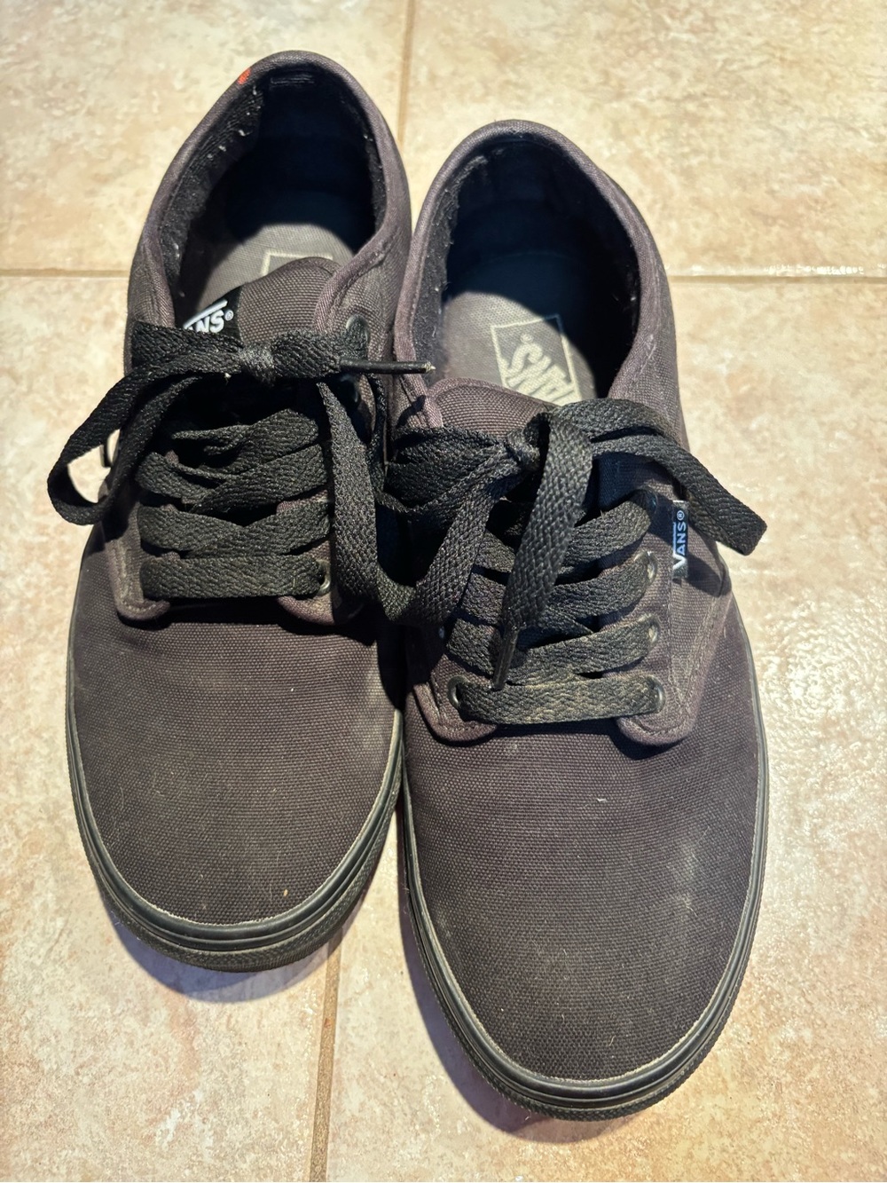 Vans Black Low-Top Canvas Sneakers for Men
